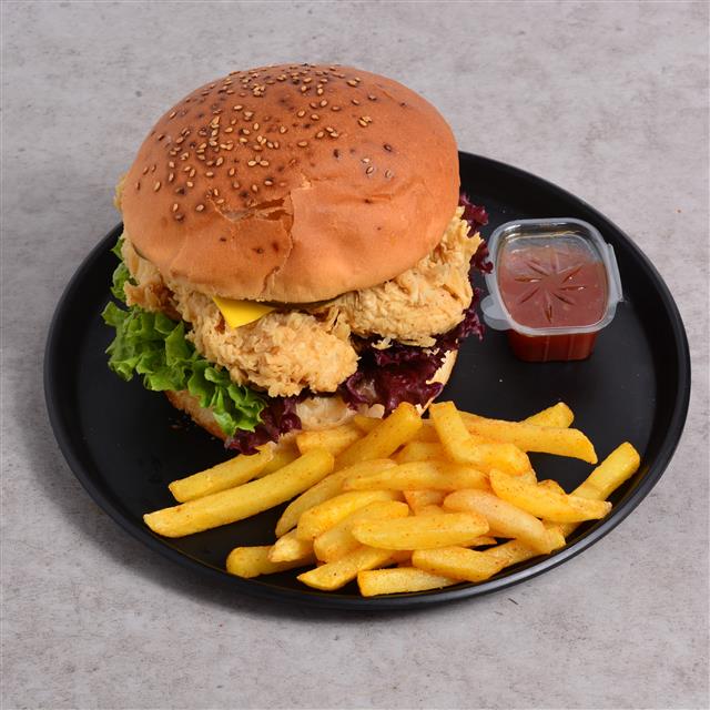 زینگر فریتا