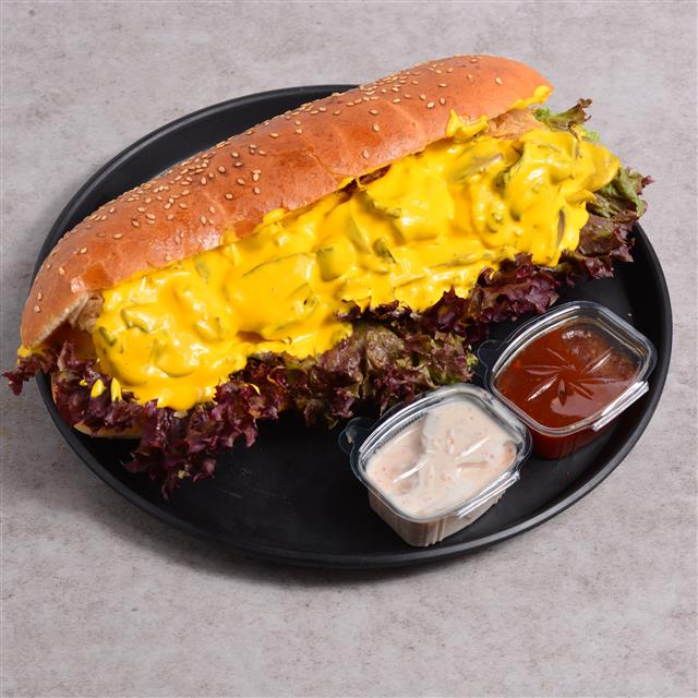 ساندویچ برست